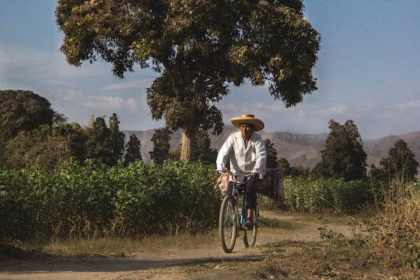 free-photo-of-dia-de-campo